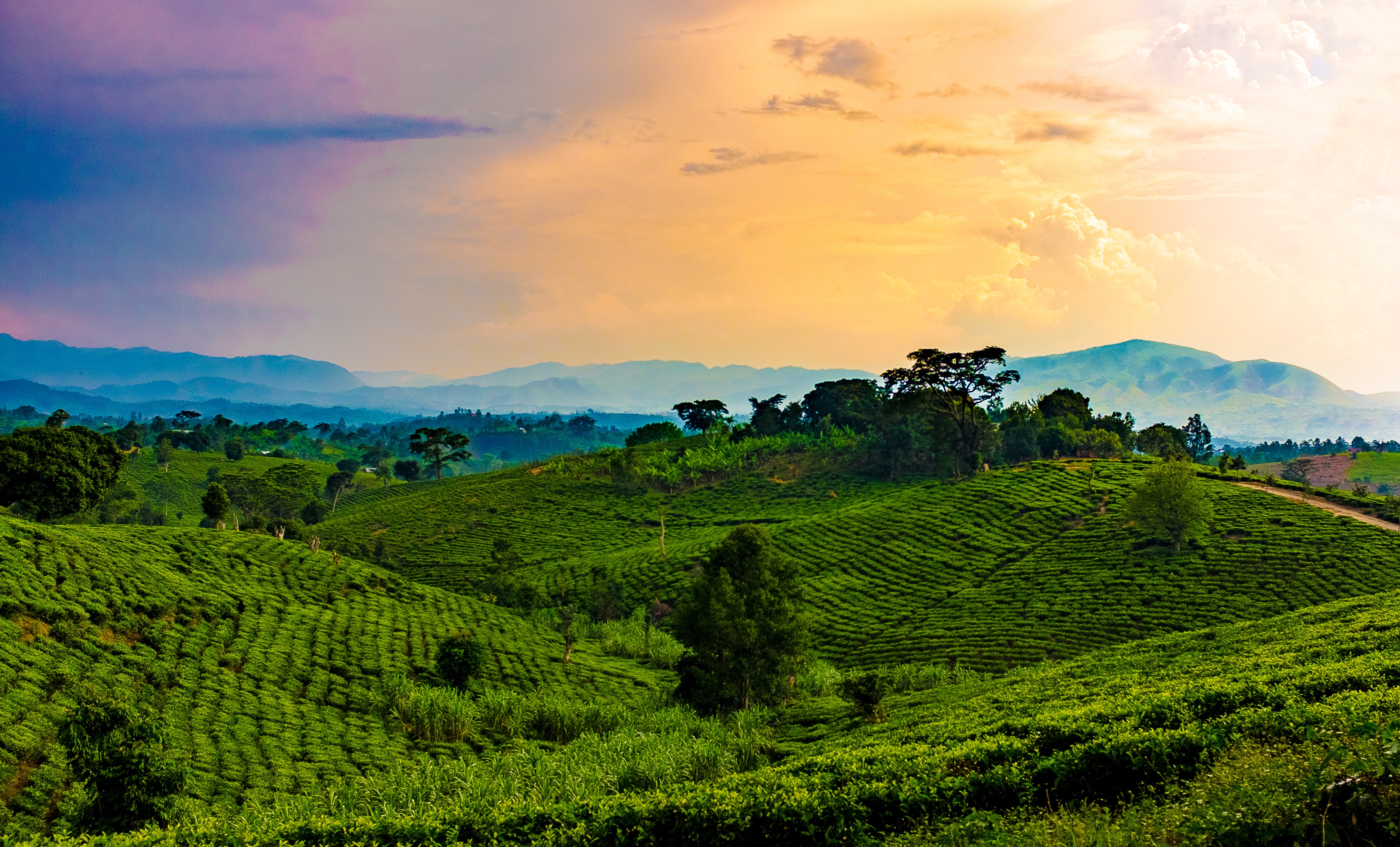 Kampala, Uganda